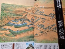 歴史群像シリーズ11 徳川家康 四海統一の大武略_画像8