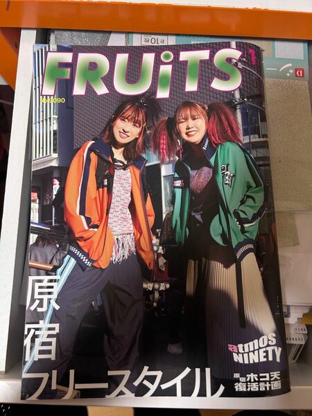 fruits雑誌 平成フラミンゴ表紙 【お値下げ可】