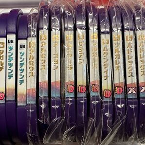 メザスタ 引退品 レガシータグ 16枚セット ジカルテ ソルガレオ ザシアン ザマゼンタ