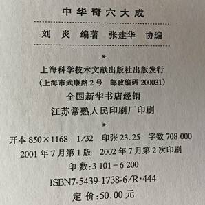 中華奇穴大成 劉炎 上海科学技術文献出版社 2001年発行 中文 中医学 東洋医学 中国語の画像2