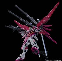 RG 1/144 ディスティニーインパルスガンダム　未使用品_画像3