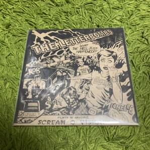 【The Letterbombs - What The Hell Just Happened?!】plow united screeching weasel gameface pop punkの画像1