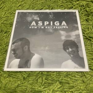 【Aspiga - How I'm Not Feeling】all descendents big drill car g-whiz pop punk