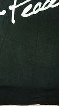 【袖レース デザイン Tシャツ】L カットソー 伸縮性 Lサイズ 黒 チュールレース 花柄 ハート 花 レース 腕 袖 脇口 大きめ 肌触り レーヨン_画像8