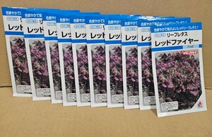 レタス種　レッドファイヤー　0.6ml×10袋　未開封有効期限切れ