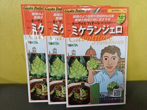 イタリア野菜種　ミケランジェロ　50粒×3袋　未開封有効期限切れ