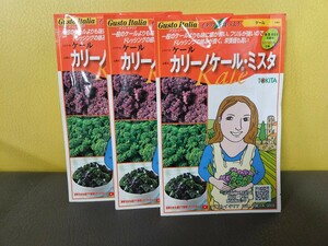 イタリア野菜種　カリーノケール　40粒×3袋　未開封有効期限切れ