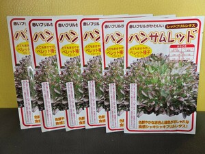 ハンサムレッド　100粒×6袋　未開封有効期限切れ