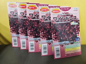 レタス種　ワインドレス　100粒×5袋　未開封有効期限切れ　ペレット種子