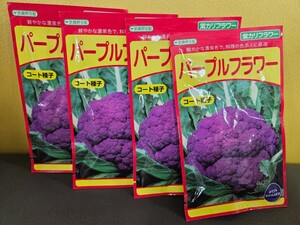 カリフラワー種　パープルフラワー　35粒×4袋　未開封有効期限切れ