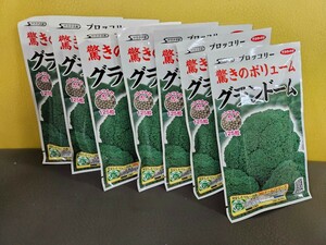 ブロッコリー種　グランドーム　125粒×7袋　未開封有効期限切れ　ペレット種子