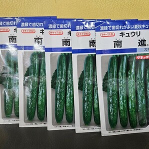 キュウリ種 南進 22粒×5袋 未開封有効期限切れの画像1