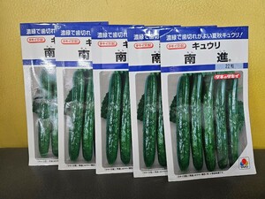 キュウリ種　南進　22粒×5袋　未開封有効期限切れ