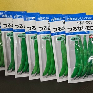 インゲン種 つるなしモロッコ ２７ml×7袋 未開封有効期限切れの画像1