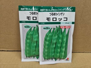 インゲン種　モロッコ　４５ml×2袋　未開封有効期限切れ