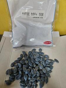 カボチャ種　雪化粧　200粒　有効期限切れ　開封品