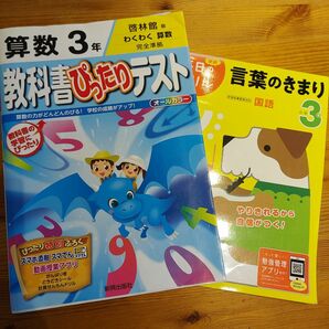 教科書ぴったりテスト　３年