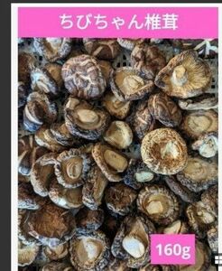 和歌山産　ちびチャン　干ししいたけ　菌床　160g