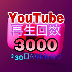 【おまけ 3000 YouTube 再生回数 増加】ユーチューブ Twitter Tiktok 自動ツール インスタ フォロワー いいね 再生数 チャンネル登録者