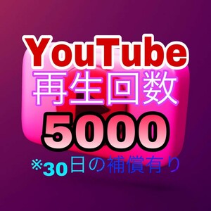 【おまけ 5000 YouTube 再生回数 増加】ユーチューブ Twitter Tiktok 自動ツール インスタ フォロワー いいね 再生数 チャンネル登録者 