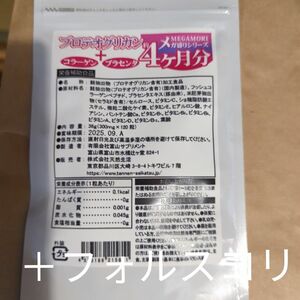 計2点　フォルスコリ、サプリメント プロテオグリカン 約4ヶ月分