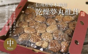 年末料理や免疫対策にピッタリ！　　　　　　　　　　信州原木栽培【乾燥夢丸椎茸】1袋(100g)