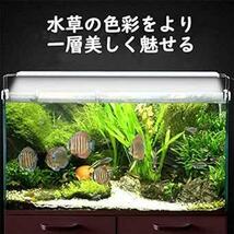 LEDGLE 水槽ライト ledアクアリウムライト 10W 39個LED 50～60cm対応 熱帯魚/観賞魚飼育・水草育成・水槽照_画像2