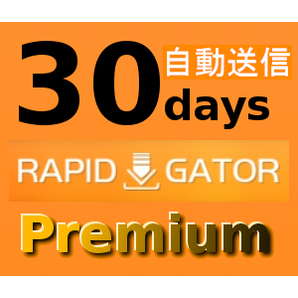 【自動送信】Rapidgator 公式プレミアムクーポン 30日間 初心者サポートの画像1