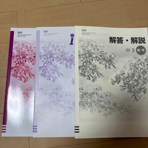 iワーク 別冊iワークプラス 別冊解答解説 東京書籍 東京書籍準拠 塾教材