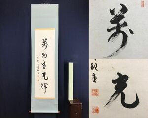 真作/嵯峨大覚寺/井上紀生/一行書/萬物生光輝/茶道具/茶掛/禅語/掛軸☆宝船☆AF-517