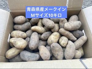 青森県産メークインMサイズ10キロ