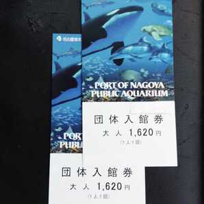 送料無料!名古屋港水族館 大人入館券２枚セットの画像1