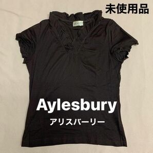 【未使用】Aylesbury アリスバーリー 半袖シャツ カットソー Vネック Tシャツ トップス