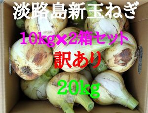 淡路島新玉ねぎ訳あり20kg農家直送南あわじ