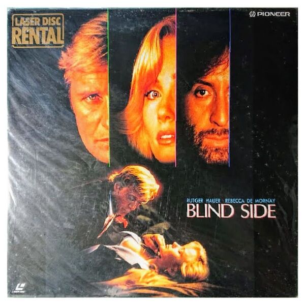 【格安！】レーザーディスク LASER DISC LD「ビジター 欲望の死角 BLIND SIDE」【美品】