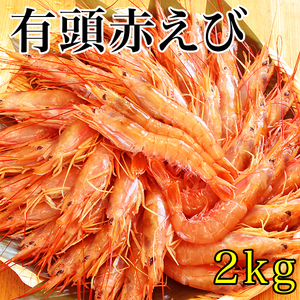 *BBQ( barbecue ) also please!*..teka! raw red ..2kg( natural have head ) roasting also sashimi also fresh boat on ..( approximately 40 tail ~60 tail )2 kilo 