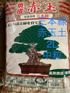 赤玉土　三本線　イワモト　中粒2L