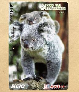 [ использованный ] Pas сеть столица . электро- металлический Tokyo Metropolitan area Tama животное парк коала 
