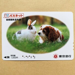 【使用済】 パスネット 東京急行電鉄 東急電鉄 ウサギ 犬