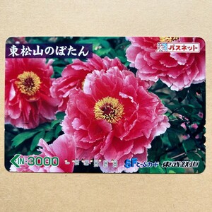 [ использованный ] цветок Pas сеть восток . железная дорога восток Matsuyama. ...