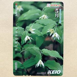 【使用済】 花パスネット 京王電鉄 高尾山(四季の植物) 5月 チゴユリ