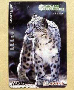 [ использованный ] Pas сеть столица . электро- металлический Tokyo Metropolitan area Tama животное парк yuki леопард 