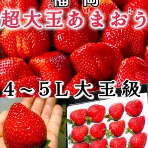 特選苺【福岡 あまおう】イチゴ ギフトBOX 誕生日プレゼント 還暦祝 御供え 贈答用 大玉苺