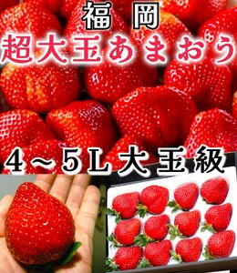 特選苺【福岡 あまおう】イチゴ ギフトBOX 誕生日プレゼント 還暦祝 御供え 贈答用 大玉苺