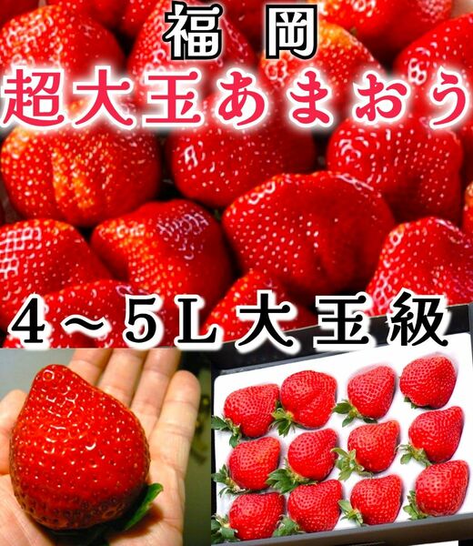 特選苺【福岡 あまおう】12玉入 イチゴ ギフトBOX 苺 お歳暮 ひな祭り ホワイトデーお返しに 贈答 ギフトBOX 大玉