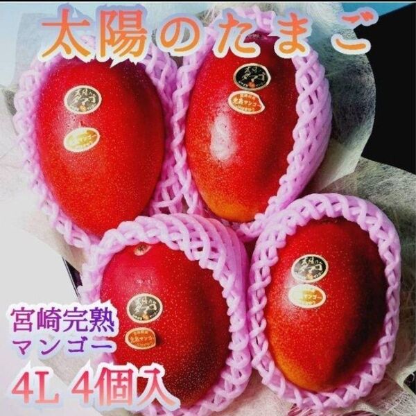 絶品 【太陽のたまご】宮崎完熟マンゴー 2L~3L大玉 6個 ギフト お祝 贈答用 化粧箱 母の日 父の日 還暦祝 誕生日祝 お供
