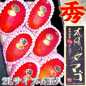 絶品 JAはまゆう 【太陽のたまご】宮崎完熟マンゴー 2L~3L大玉 6個 一箱 ギフト お祝い 贈答用 最高級品 予約商品