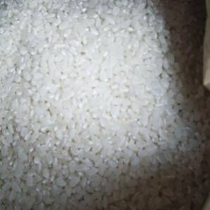 精米して規格外になったお米です 鳥の餌 動物のえさ 家畜のエサ 肥料 等 送料無料 重量約20kg前後 簡易梱包で発送 石やゴミ、虫の混入有の画像1