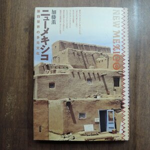 ◎ニューメキシコ　第四世界の多元文化　加藤薫　新評論　定価3520円　1998年初版