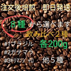 焙煎珈琲豆　選べる飲み比べ２種　各200g　注文後焙煎　合計400g